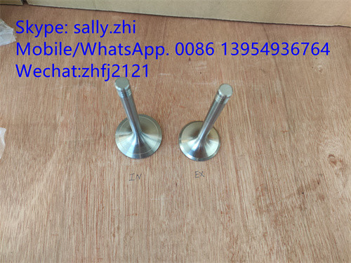 China sdlg inlet valve 4110000054096/12159606  for Weichai Deutz TD226B WP6G125E22, weichai engine parts for sale supplier