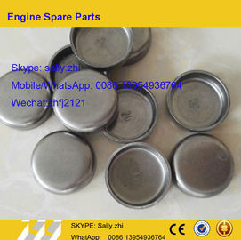China brand new  Plug , C3914035/ C3905401/ C3943808, DCEC engine  parts for DCEC 6BT5.9 Diesel Engine supplier