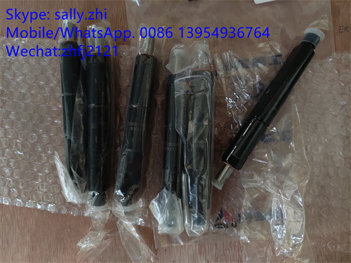 China SDLG injector 4110000991004 /13053066  for Weichai Deutz TD226B WP6G125E22, weichai engine parts for sale supplier