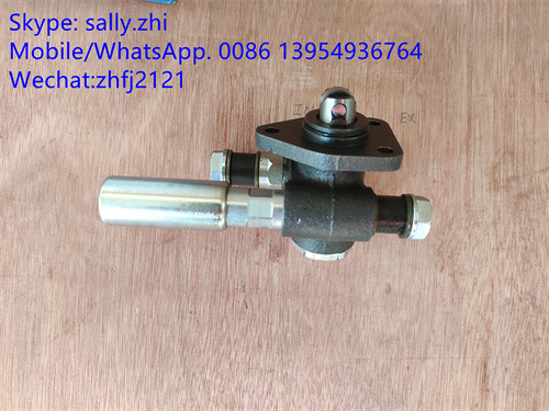 China SDLG Hand pump 4110000991053 /1000428779 for Weichai Deutz TD226B WP6G125E22, weichai engine parts for sale supplier