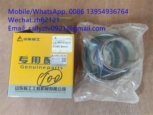 China SDLG sealing ring kit 4120000868101/4120001004101, SDLG  Spare parts for  wheel loader LG936/LG956/LG958 supplier