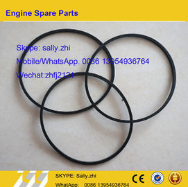 China brand new  C3906694/ C3906695 Ring ,  4110000179045, DCEC engine  parts for DCEC Diesel Dongfeng Engine supplier