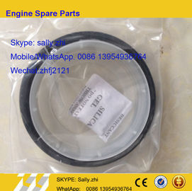 China C3968562 front oil seal,   C3921927 , DCEC engine  parts for DCEC 6CT engine for wheel loader LG958L LG968 supplier