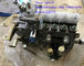 Brand new injection pump 1000185678 , 4110002925025,  loader parts for wheel loader LG936/LG956/LG958 supplier