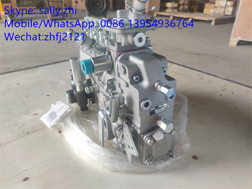injection pump 4110000991002 /13053063  for Weichai Deutz TD226B WP6G125E22, weichai engine parts