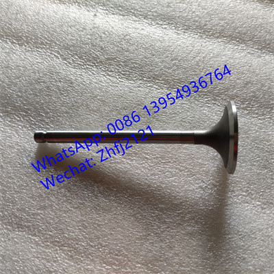 SDLG INLET VALVE 4110000560145,  yuchai engine parts for yuchai engine YC6B125-T10(B7626)
