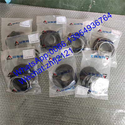 SDLG brake repair kit 4120001739020, SDLG loader parts for  wheel loader LG936/LG956/LG958