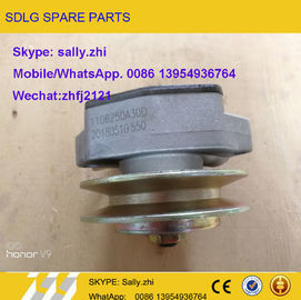 fuel pump, 4110001841016,  loader  parts for  wheel loader LG936/LG956/LG958