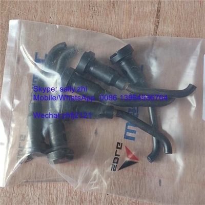 spray nozzle  4110001551041  for WEICHAI DHB06G0121/ WP6G125E22 Diesel engine( 4110000991063)