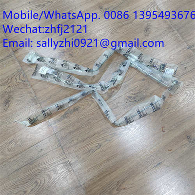 Name