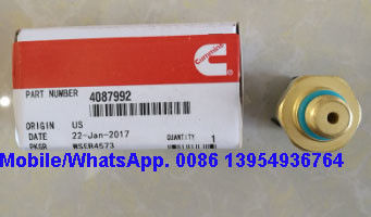 Name